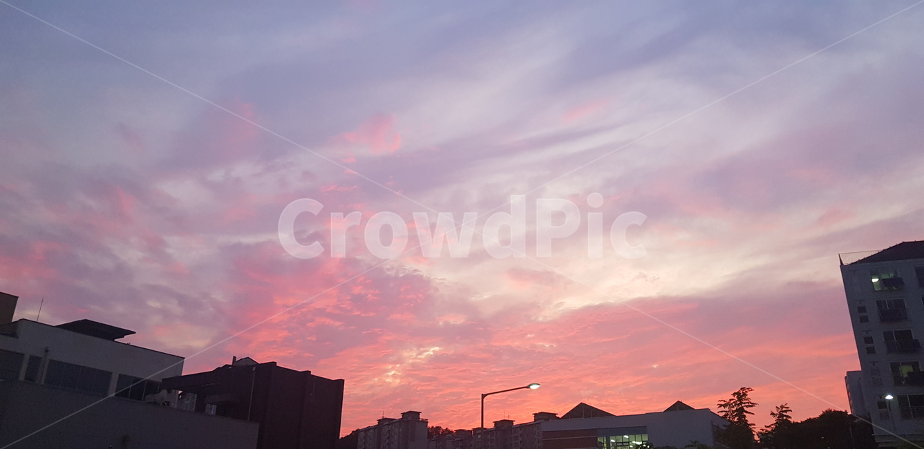 nature,자연,하늘,노을,핑크오렌지