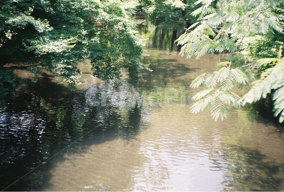 호수,물결,자연,필름,풍경,여름,자연,풍경,nature,landscape,휴식,힐링,rest,relaxation,healing,land,땅,outdoors,옥외,vegetation,초목,plant,식물,water,물,tree,나무