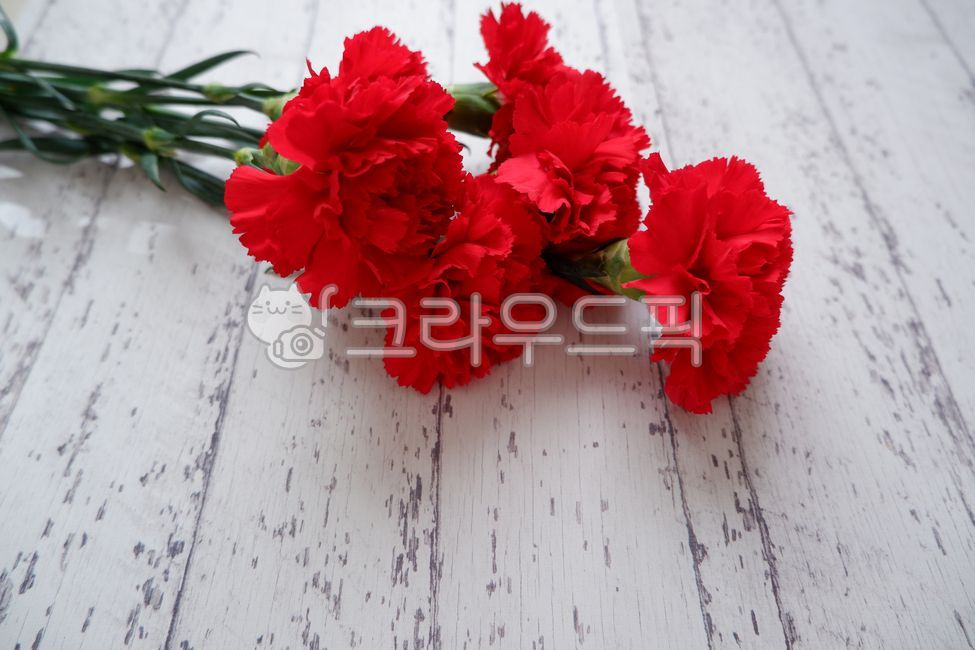 gift,floal,bouguet,carnation,spring flowers,fresh flowers,flower gift,wood,mothersday,woodentable,Teachers day,family month,natural,bouquet,Mothers Day,flower,Red,flower background,redcarnation