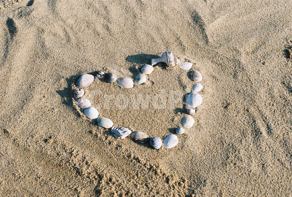모래,조개껍데기,소라껍데기,하트,하트모양,감성,heart,shells,해변,바다,beach,sea
