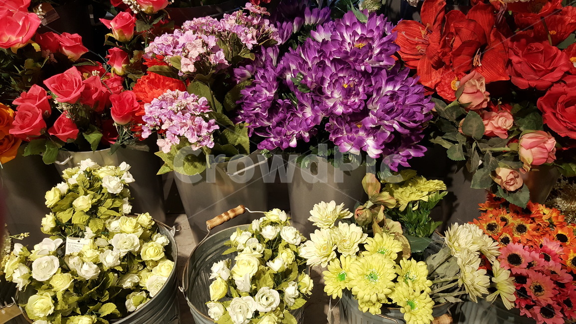 꽃,식물,화분,장식,화단,꽃다발,축하,감성,느낌,행복,식물,자연,plants,nature,꽃,flower