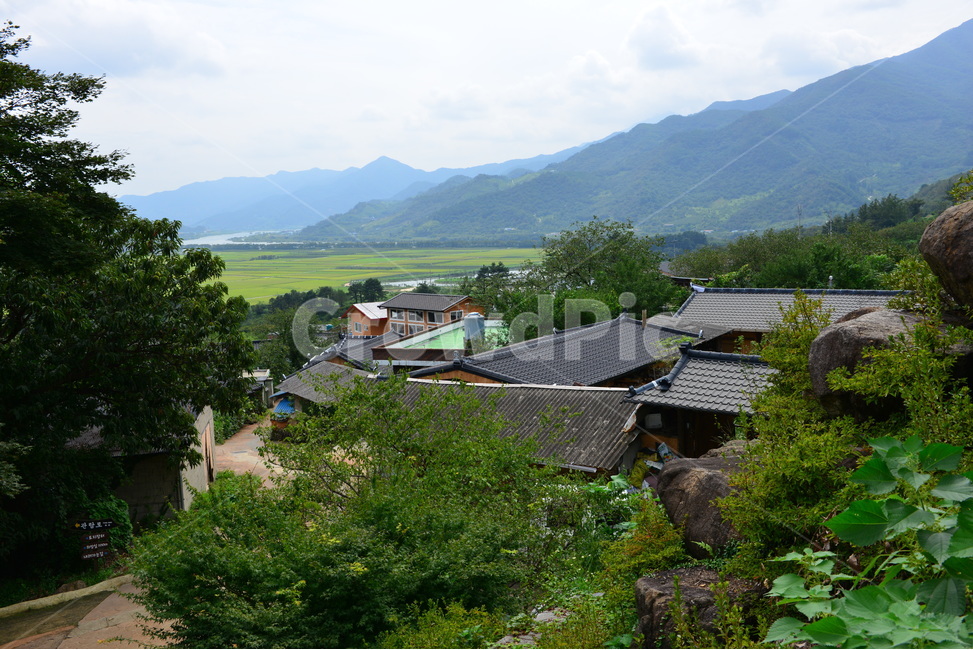 scenery,풍경,경남,하동,평사리,악양,최참판댁,돌담,초가집,여름,계절,nature,자연,outdoors,옥외,building,건물,hut,기와집,부수송,들판,오두막,rural,농촌