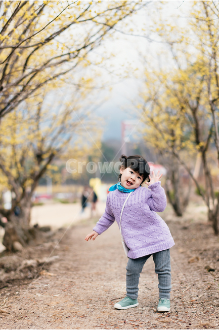 아이,어린이,딸,딸사랑,스마일,웃음,밝음,산수유,딸사진,봄나들이,뜨개옷,포즈,인물사진,봄,계절,spring,season,사람,인물,인간,human,person,어린이,어린아이,child,children,kid,감정표현,기분,feeling,emotion,sweater,스웨터