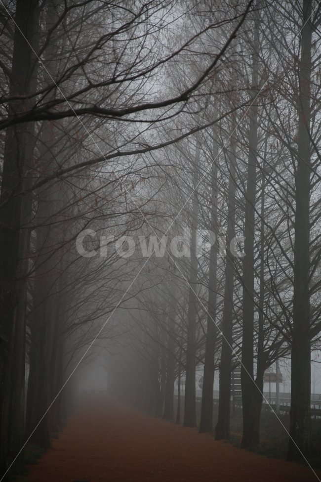 비,풍경,아침,가을,여행,자연,풍경,nature,landscape,가을,계절,fall,autumn,season,weather,날씨,outdoors,옥외