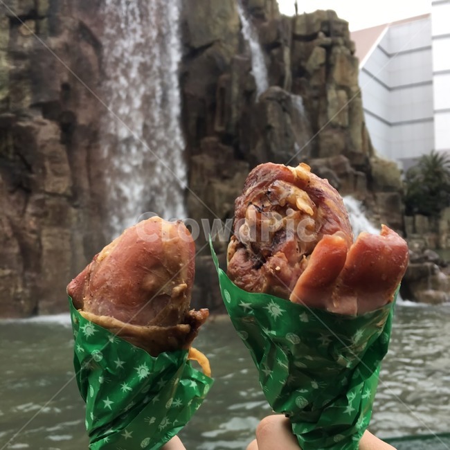 폭포,칠면조다리,음식,일본,만화고기