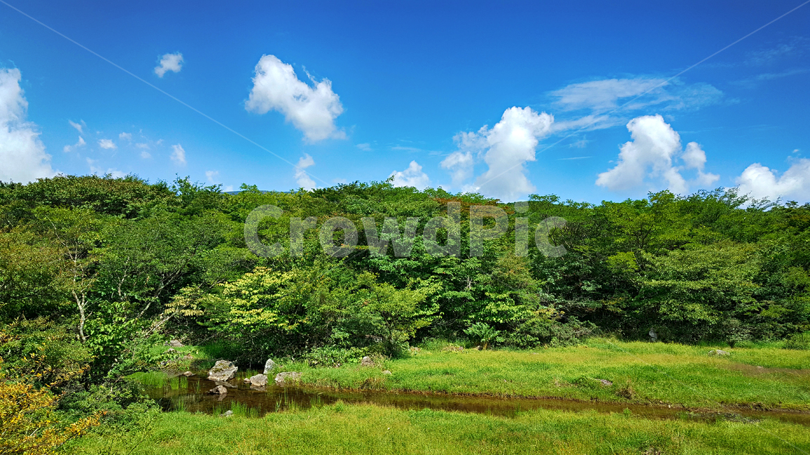 제주,한라산,1100고지,한라산1100고지,산,제주도,자연,nature,outdoors,옥외,자연,풍경,nature,landscape