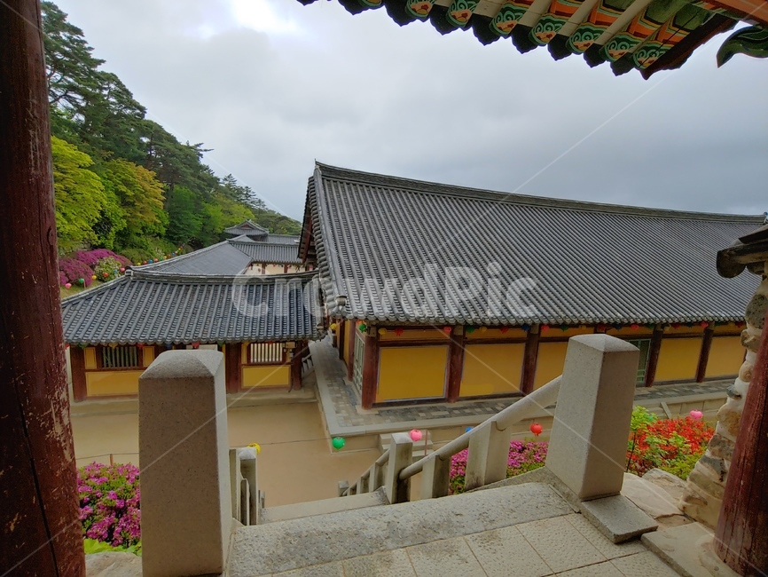 절,경주,사찰,자연,불교