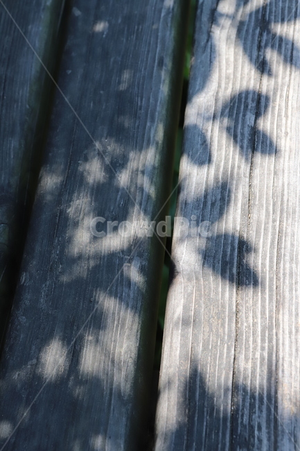 그림자,나무,감성,햇빛,나뭇잎,나무,trees,wood