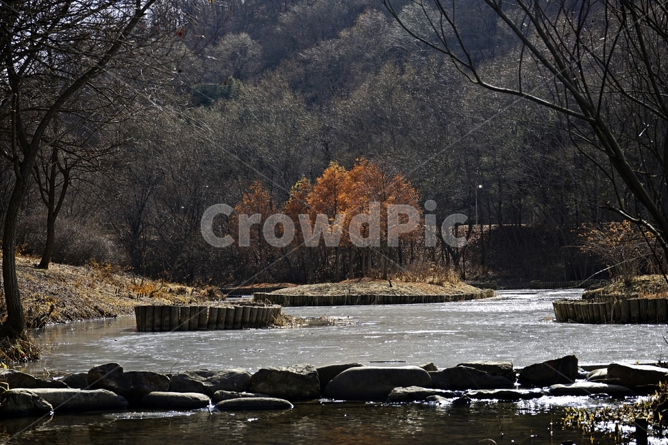 겨울,공원,나무,빛,그림자,얼음,추위,winter,park,season,cold,감성,난지천공원,마포,trees,woods,branch,leafless,겨울,계절,winter,season,자연,풍경,nature,landscape,water,물