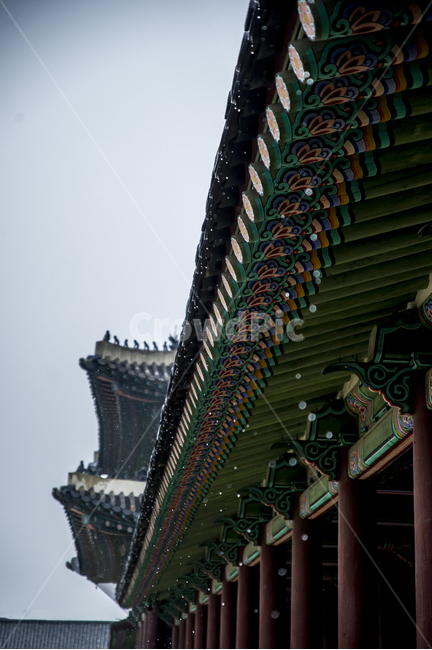비,기와,전통,한옥,청기와,궁,옛궁,처마,빗방울,방울,한국전통,한국문화,korean traditional,korean culture,비,비오는날,rain,rainy,건축물,건물외관,exterior,building,structure,architecture,construction