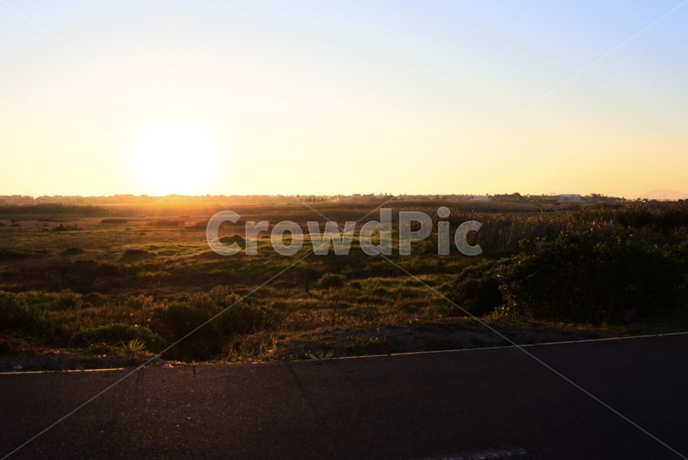 nature,자연,outdoors,옥외,도로,road,햇빛,sunlight,플레어