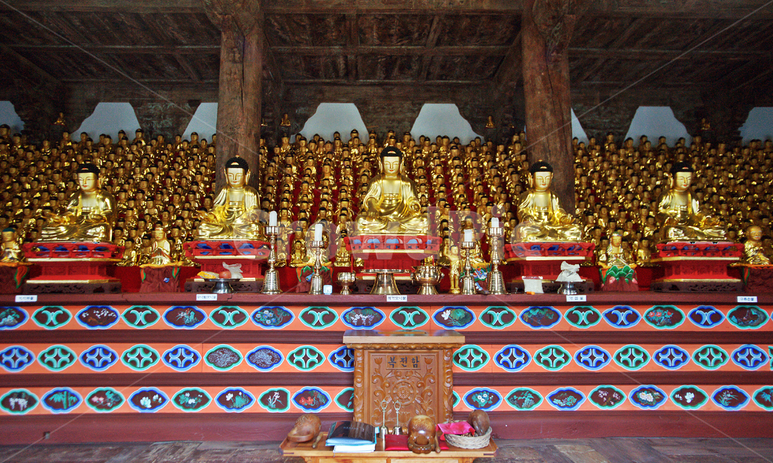 마곡사,영산전,과거칠불,목불,고려시대,영산회상,부처,10대제자,오백나한,조각상,동상,석상,조형물,statue,bronze statue,stone statue,종교,신앙,religion,belief,faith