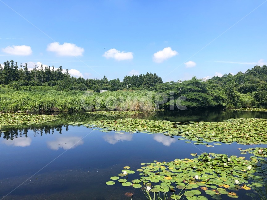 구름,nature,자연,outdoors,옥외,맑음,자연,풍경,nature,landscape,water,물,land,땅