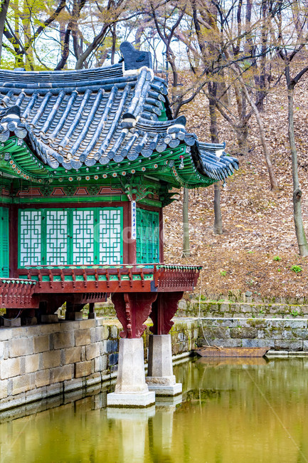 부용정,정자,창덕궁,부용지,사정기비각,고궁,기와,봄,연못,못,기와지붕,건축물,전통건축물,문화유산,문화재,한국전통,한국문화,korean traditional,korean culture,건축물,건물외관,exterior,building,structure,architecture,construction
