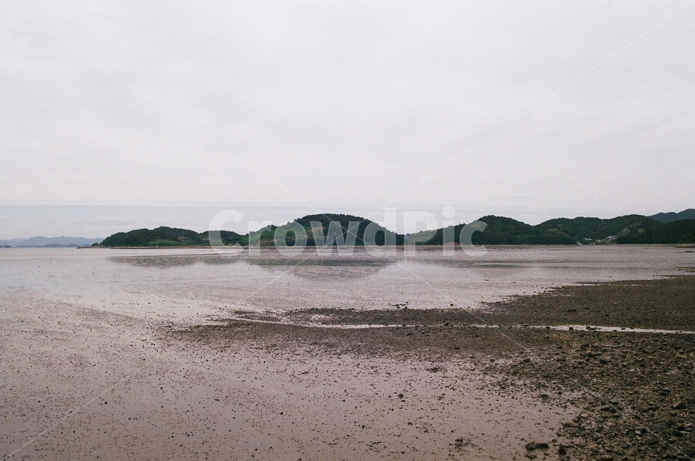 갯벌,바다,여수,자연,산,풍경,필름,자연,풍경,nature,landscape,한국자연풍경,한국자연경관,korea nature landscape,해변,바다,beach,sea,land,땅,outdoors,옥외,shoreline,해안선,water,물,ocean,대양,coast,연안