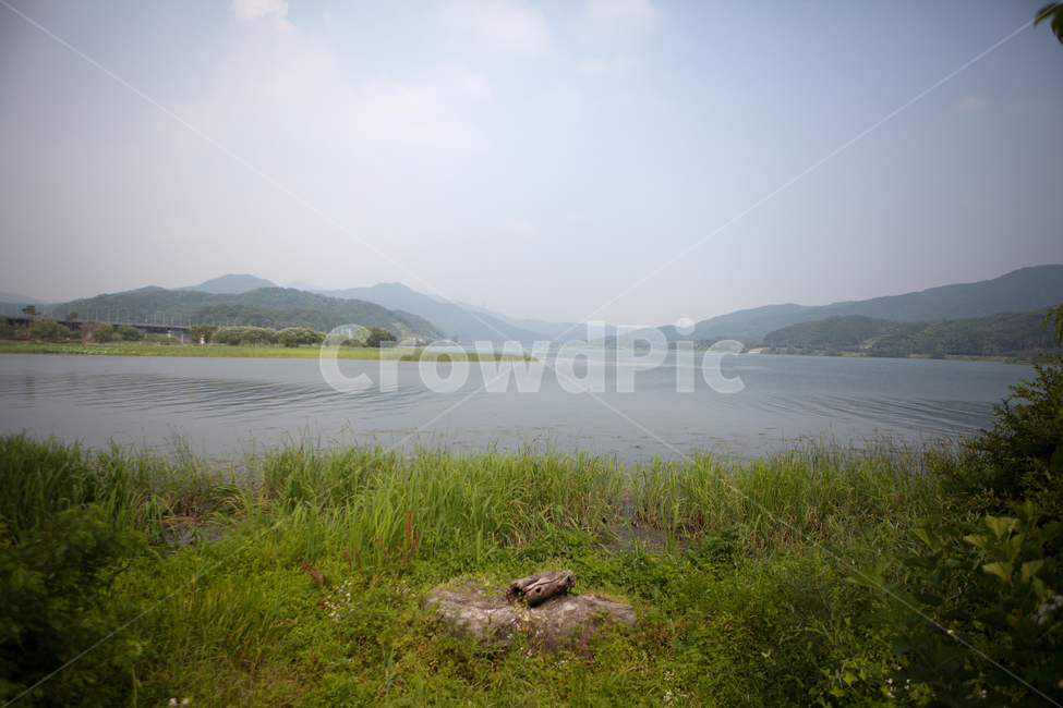 nature,outdoors,옥외,field,들,grassland,목초지,양평,두물머리,나무,풀,강,자연,봄,여름