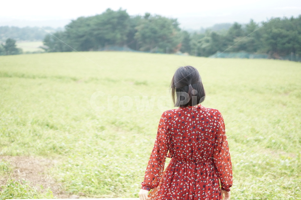뒷모습,메밀밭,메밀꽃,패턴소재,의류,apparel,의복,clothing,소매,sleeve,사람,인물,인간,human,person,여성,여자,woman,female,lady