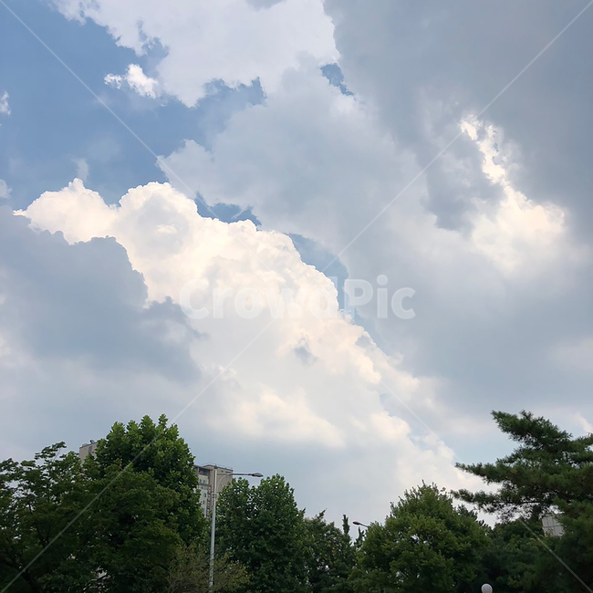 하늘,구름,파란하늘,나무,초록
