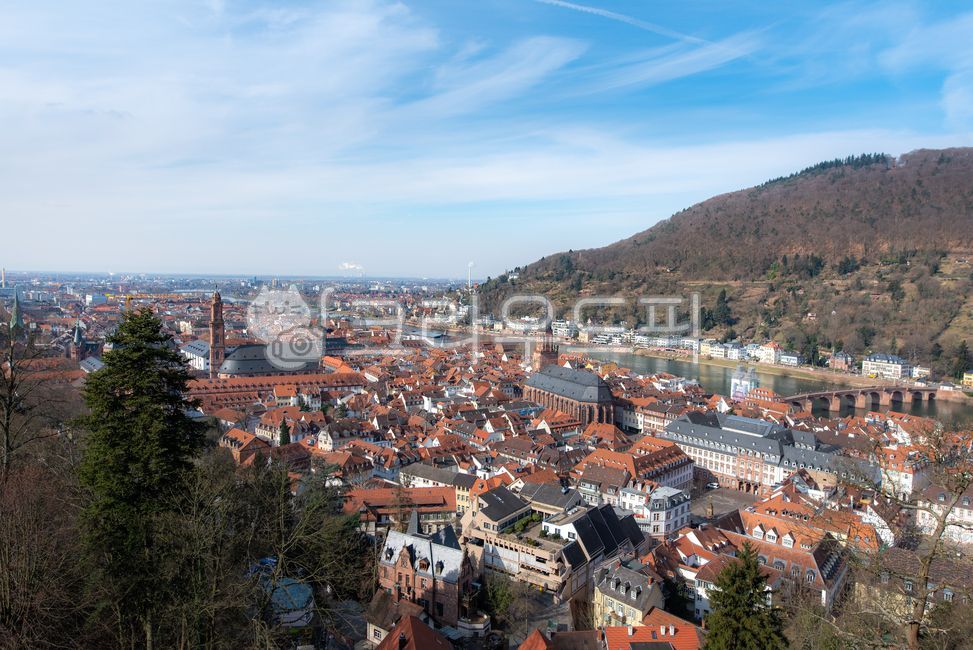 naturallandscape,germany,house,building,medievalcity,houses,cityscape,europe,educationcity,architecture,education city,roof,nature,medieval city,heidelberg,natural scenery,outdoors,river