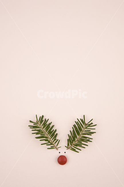 gift,deer,pink,Christmas,candy,idea,concept,winter,branch,cute,White space,humorous,deer antlers,ornament,Ornament,carol song,prop,season,event,decoration,Merry Christmas,green,Rudolf,Anniversary,leaf,christmas,Red,horn,red nose,Beloved,background,animal,
