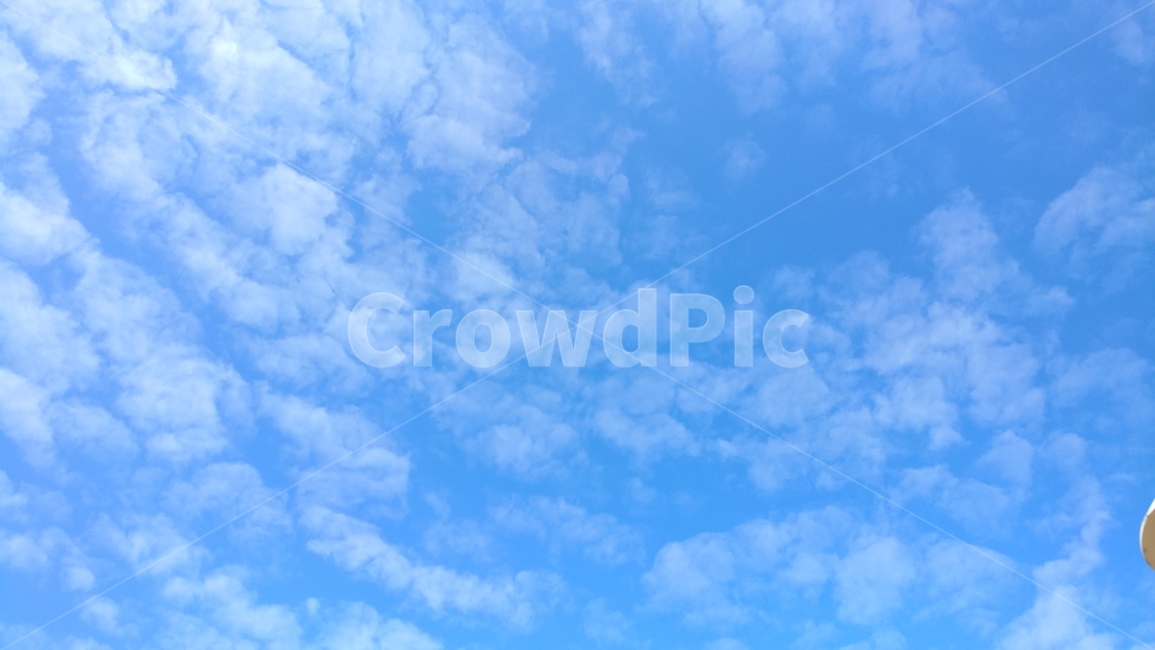 하늘,여름,구름,오전,더위,자연,풍경,nature,landscape,outdoors,옥외,sky,azure sky,푸른 하늘