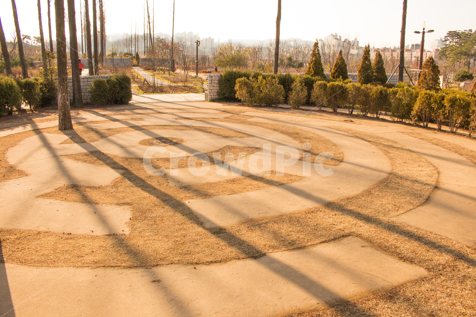서울,구로구,항동철길,구로구항동철길,철길,갈대,문구,자연,풍경,nature,landscape,tree,나무,plant,식물