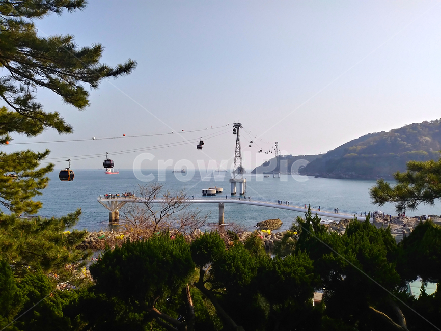 부산,부산광역시,송도해수욕장,해상케이블카,에어크루즈,바다,물,해안,나무,철탑,cablecar,케이블카,vehicle,교통,transportation,mountain,산