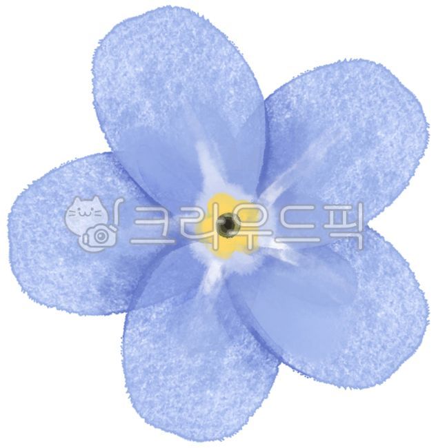 물망초,꽃,파란꽃,flower,수채화,수채,일러스트,드로잉,화초