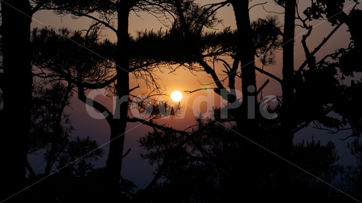 대구,앞산전망대,노을,SONY,A6000,자연,풍경,nature,landscape,실루엣,그림자,silhouette,shadow,outdoors,옥외,sky,하늘,dusk,황혼,sunset,일몰,red sky,붉은 하늘,dawn,새벽