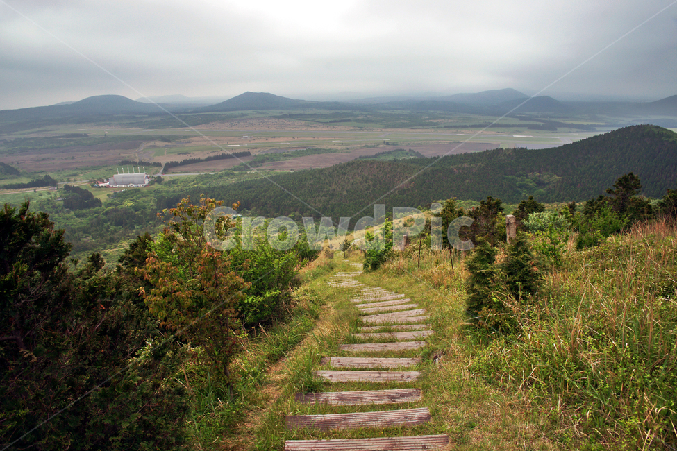 갑마장길,제주도,표선면,가시리,트레일,대록산,탐방로,자연,풍경,nature,landscape,제주도,jeju,jeju island