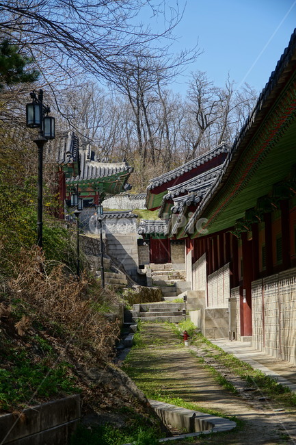 경희궁,고궁,궁궐,궁전,한옥,왕실,왕궁,조선,역사,문화재,history,hanok,culturalassets,culturalproperties,koreanstylehouse,한국,서울,korea,seoul,한국문화,전통문화,한국전통,palace,한국풍경,한국자연,서울풍경,서울자연