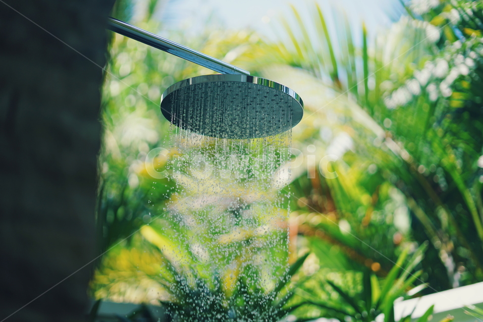 샤워,해바라기샤워,showerhead,야외샤워,outdoorshower,야자수,야자,palm,개운,refresh,refreshed,시원,cool,물,water,물줄기,여름,summer,hot,휴식,힐링,rest,relaxation,healing
