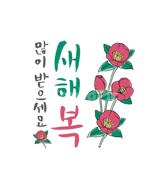 동백꽃,새해,새해인사,인사말,캘리그라피,복,신년,덕담,꽃,녹색,그린,레드,겨울,캘리그라피,손글씨,calligraphy