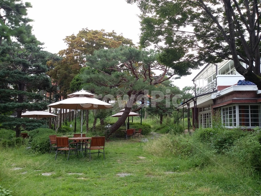 집,정원,안마당,파라솔,의자,소나무,garden,옥외