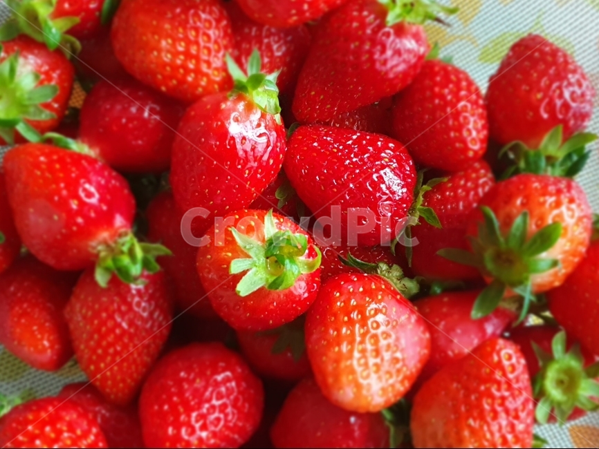 딸기,과일,음식,간식,디저트,food,fruit,strawberry