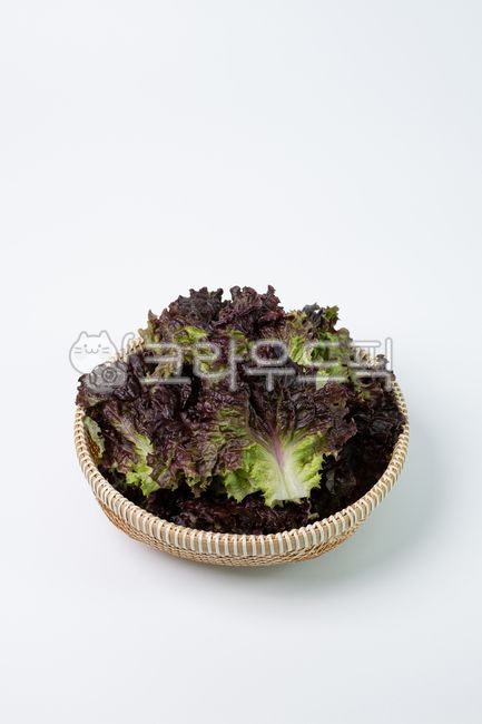 상추,적상추,쌈,쌈채소,식재료,신선식품,식품,채소,야채,음식,식재료,요리,food,cook,meal,dishes,food reserves,채소,야채,vegetables