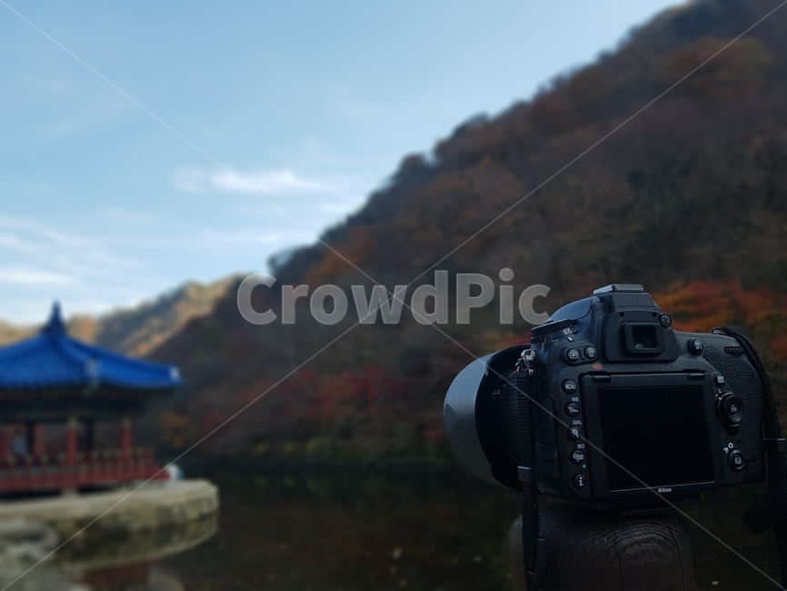 단풍,내장산,가을,하늘,풍경,국립공원,적막,새벽,한적함,햇빛,기둥,산,카메라,dslr,사진작가,포토그래퍼,photographer,사물,물건,오브젝트,thing,object,matter