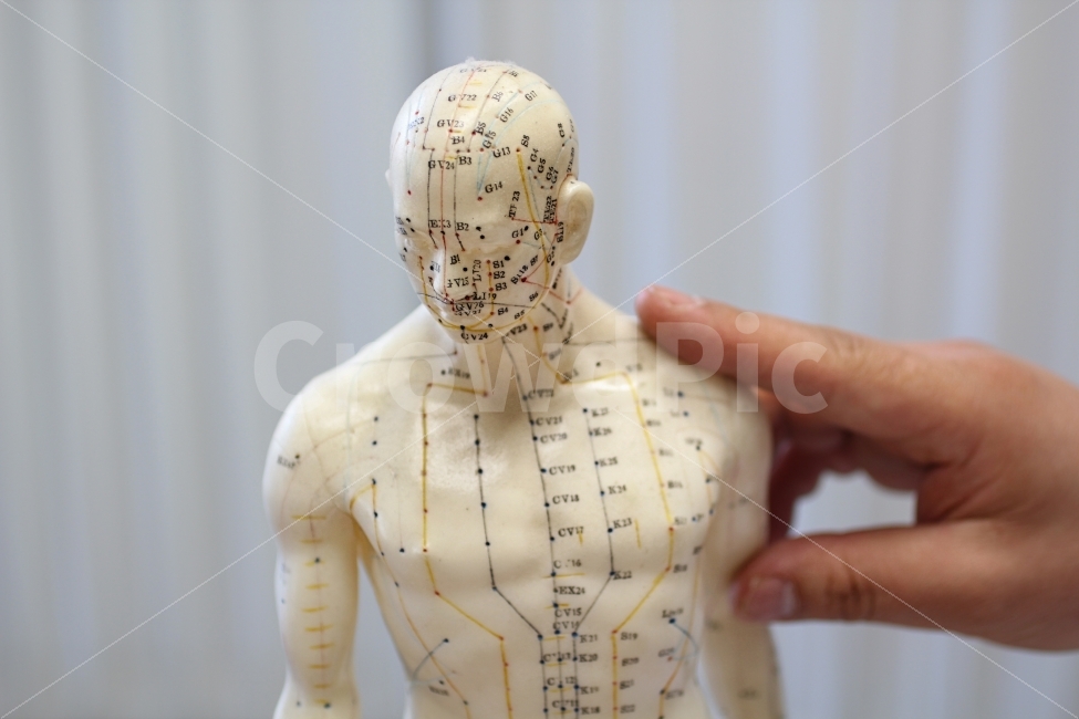 병원,한의원,한의사,한방의학,침,혈맥,사물,연출,마네킹,인체모형,침술,Acupuncture,Hospital,Mannequin,Nobody,사람,인물,인간,human,person,의료,의학,병원,medical,hospital,clinic,사물,물건,오브젝트,thing,object,matter,연출,컨셉,콘셉,direction,concept