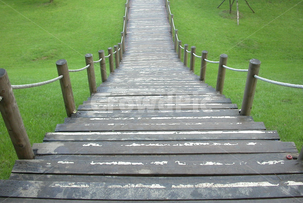 계단,잔디,산책로,여름,풍경