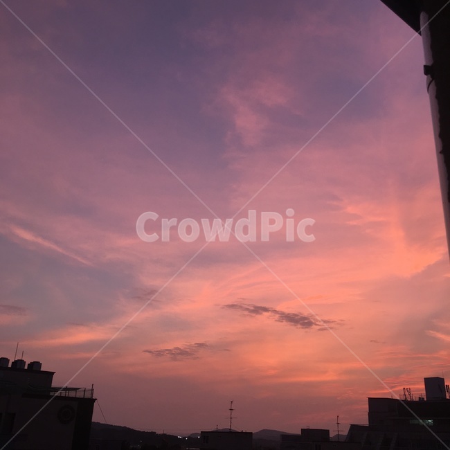 하늘,건물,분홍하늘,구름,석양,해질녘,저녁,sunset,분홍구름,자연,풍경,nature,landscape,도시,city,실루엣,그림자,silhouette,shadow,outdoors,옥외
