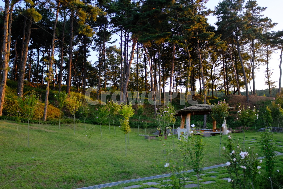 정자,쉼터,풍경,나무,공원,park,wood,landscape,자연,풍경,nature,landscape,outdoors,옥외,garden,정원,arbour,grass,잔디,plant,식물