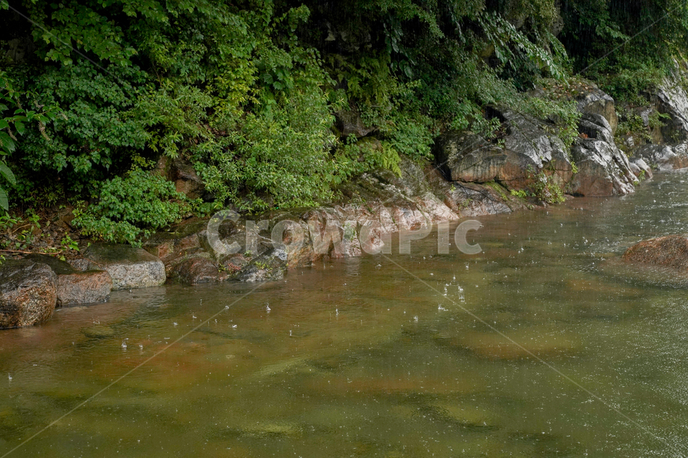 valley,계곡,맑은물,시원함,산속,여름,계절,summer,season,자연,풍경,nature,landscape,water,물,outdoors,옥외