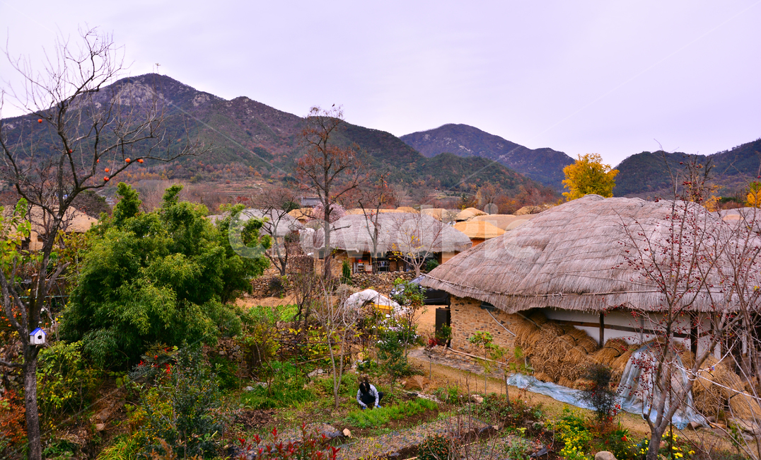 낙안읍성,낙안민속마을,민속마을,민속촌,전통,초가집,시골풍경,보존,마을,촌락,village,old,traditional,읍성,한국적풍경,코리안,korean,house,옛날,빈티지,vintage,오래된,country,고향,고향마을,고향집,노스텔지어,향수
