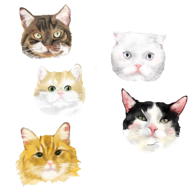 고양이,고양이일러스트,고양이그림,cat,catillustration,일러스트,illustration,animalillustartion,동물,animal,포유류,mammal,그래픽,일러스트레이션,graphic,illustration