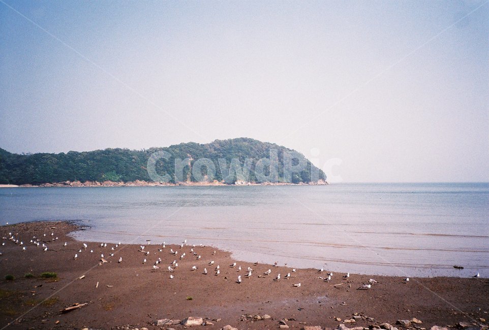 섬,바다,필름,sea,film,필름사진,island,자연,nature,물,water,해변,beach