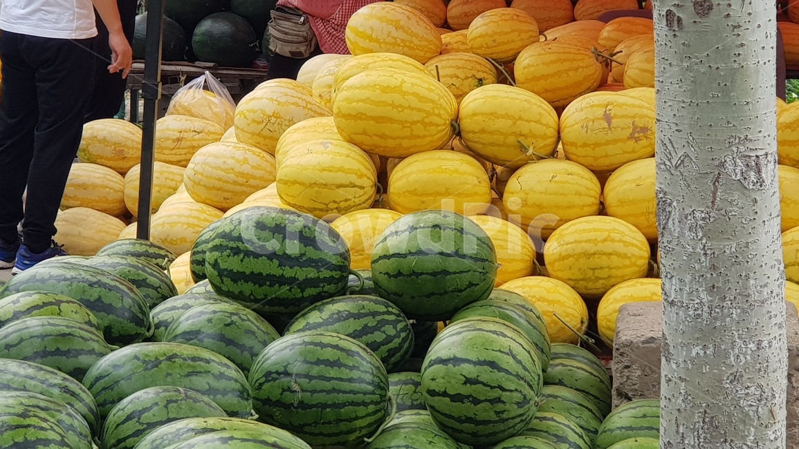 과일,fruit,food,음식,수박,노란수박,과일,열매,fruit