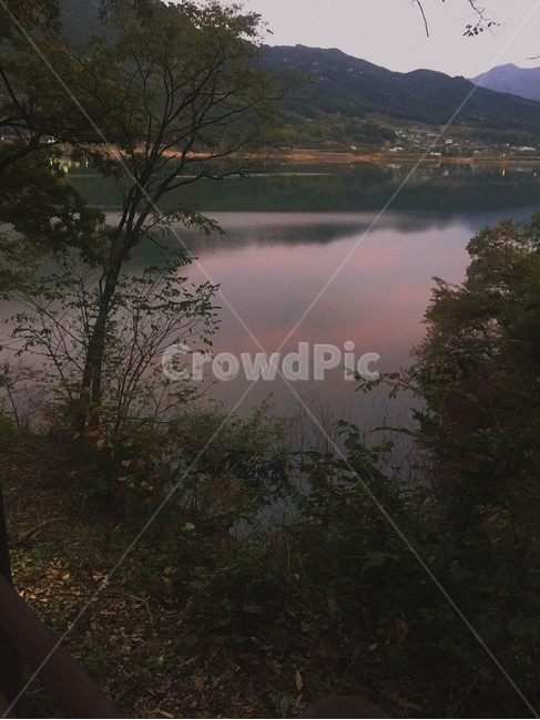 노을,강,나무,풍경,감성사진,자연,풍경,nature,landscape,water,물,outdoors,옥외
