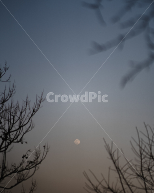 달,보름달,nature,자연,하늘,moon