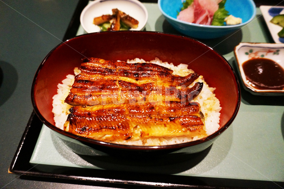 일본,음식,교토,장어,덮밥,음식,식재료,요리,food,cook,meal,dishes,food reserves,일식,일본음식,일본요리,Japanese food,Japanese dishes,Japanese meal,Japanese cook