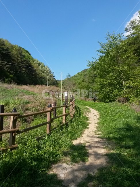 산책,산,울타리,푸른하늘,평온,mountain,afence,ha